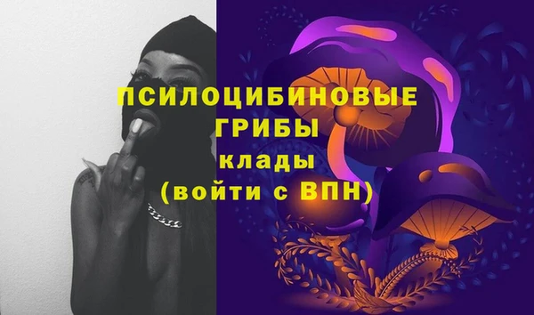 скорость Приозерск