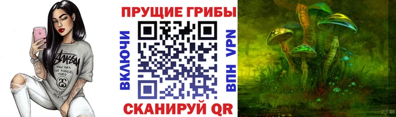 МЕГА зеркало  Кострома  Галлюциногенные грибы GOLDEN TEACHER 