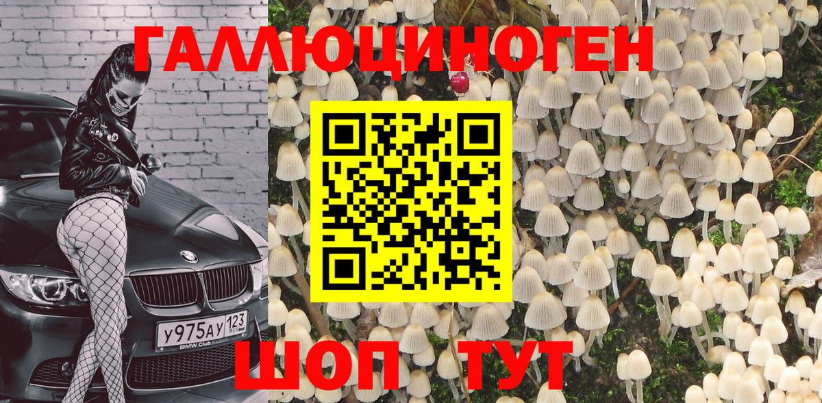 Галлюциногенные грибы Psilocybe  Вход с VPN  Кострома 